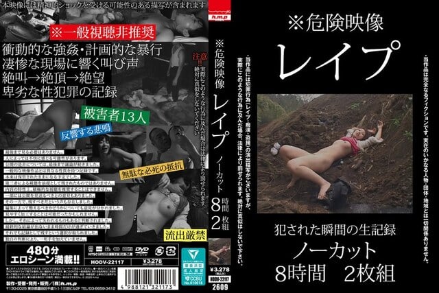 ※危険映像 レ●プ ノーカット8時間2枚組